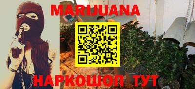 гашик Берёзовский