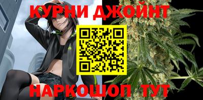 гашик Берёзовский